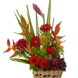 Frutero Tropical