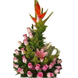 Gota de Amor Rosada